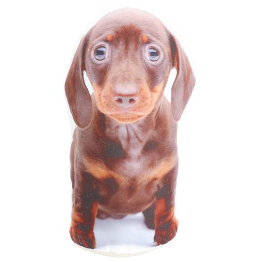 Adopt A Doorstop Puppies Oscar